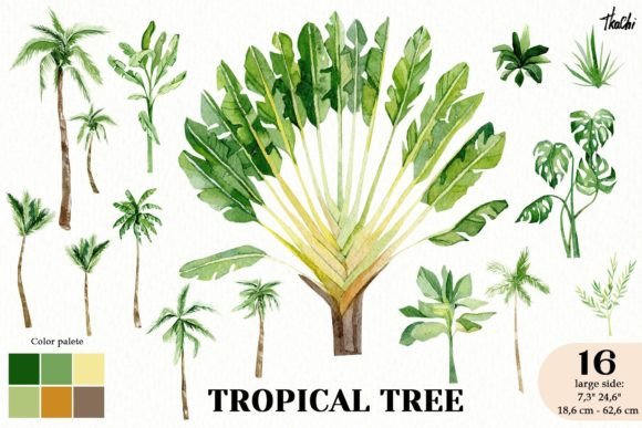 Download Watercolor Summer Tropical Tree Clipart - Premium Bundle